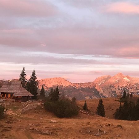 Chalet Tisa Velika Planina Stahovica Buitenkant foto