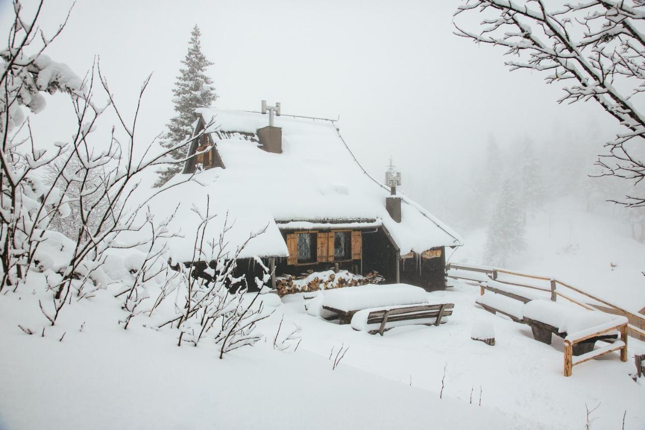 Chalet Tisa Velika Planina Stahovica Buitenkant foto