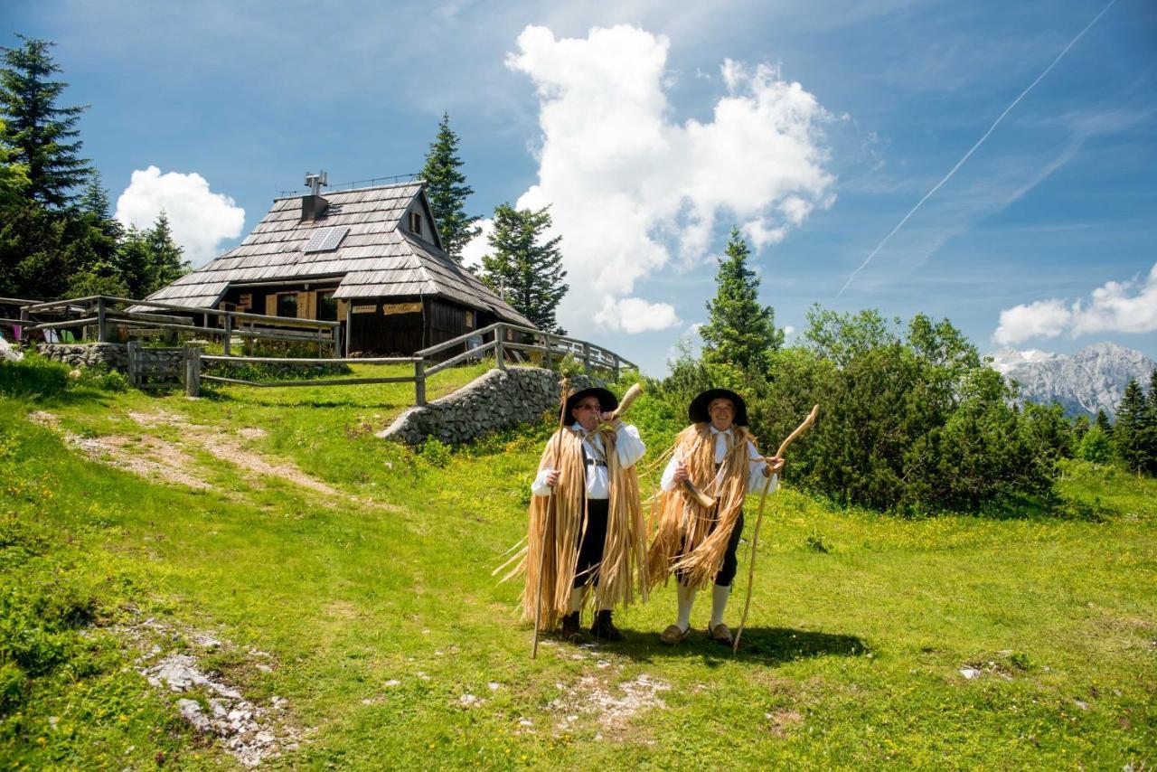 Chalet Tisa Velika Planina Stahovica Buitenkant foto
