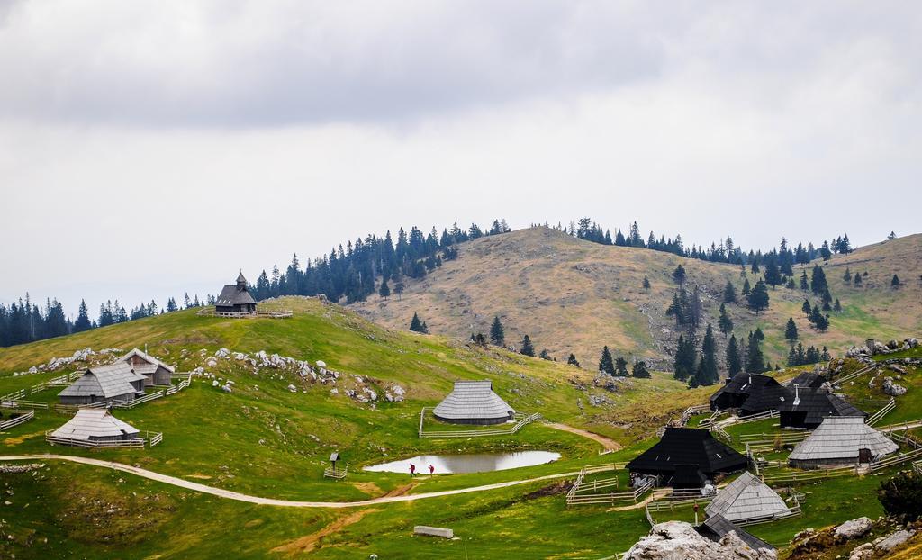 Chalet Tisa Velika Planina Stahovica Kamer foto