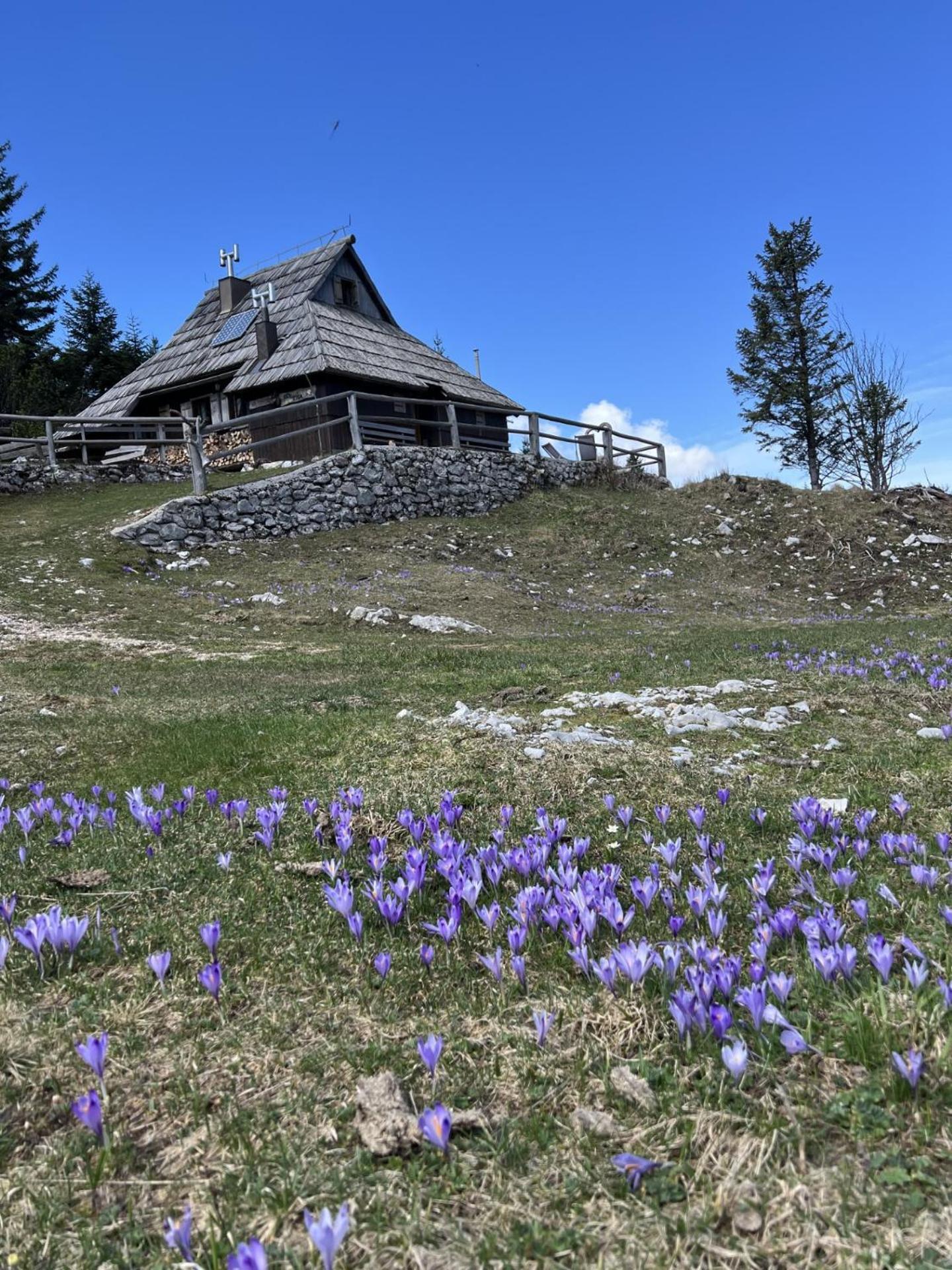 Chalet Tisa Velika Planina Stahovica Buitenkant foto