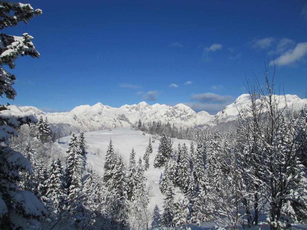 Chalet Tisa Velika Planina Stahovica Kamer foto