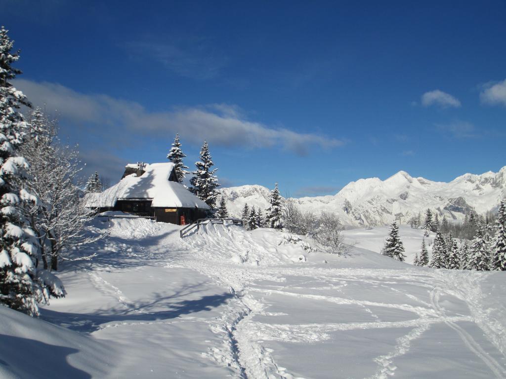 Chalet Tisa Velika Planina Stahovica Kamer foto