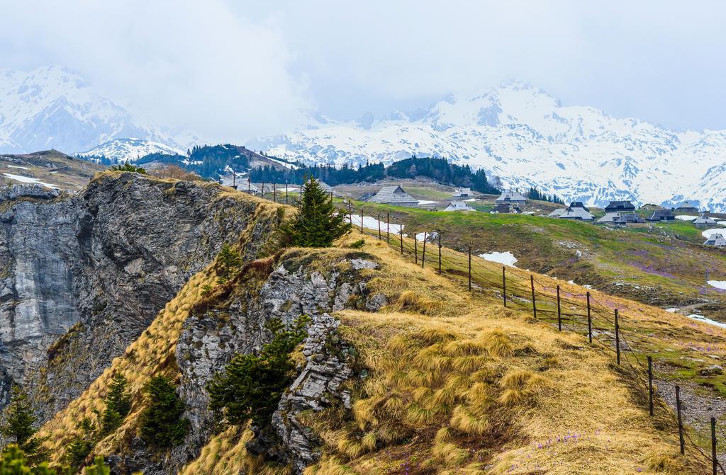 Chalet Tisa Velika Planina Stahovica Kamer foto
