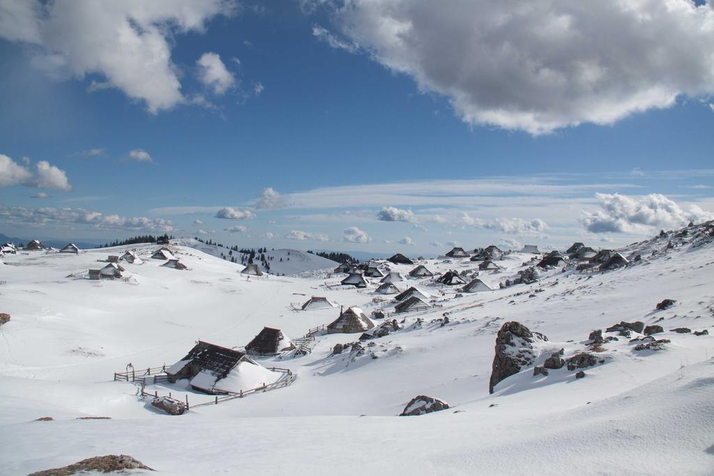 Chalet Tisa Velika Planina Stahovica Kamer foto