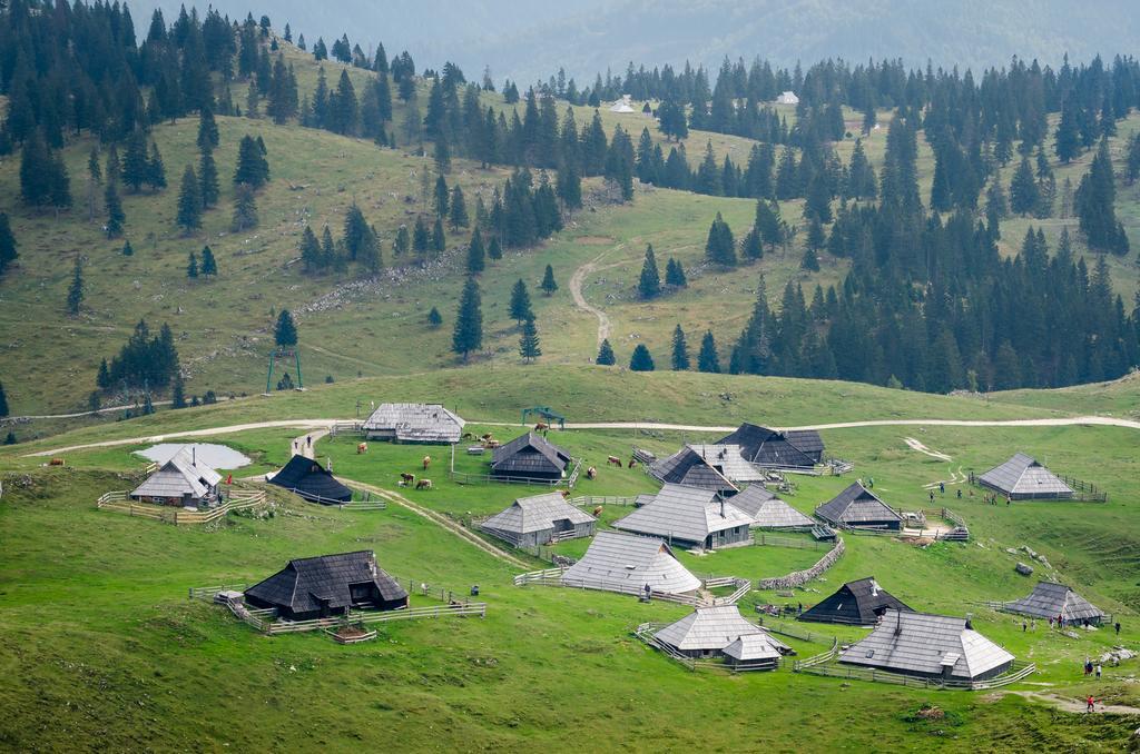 Chalet Tisa Velika Planina Stahovica Kamer foto
