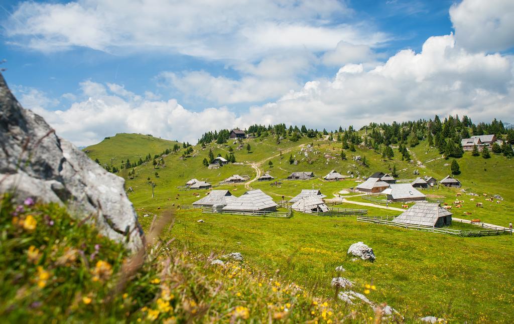 Chalet Tisa Velika Planina Stahovica Kamer foto