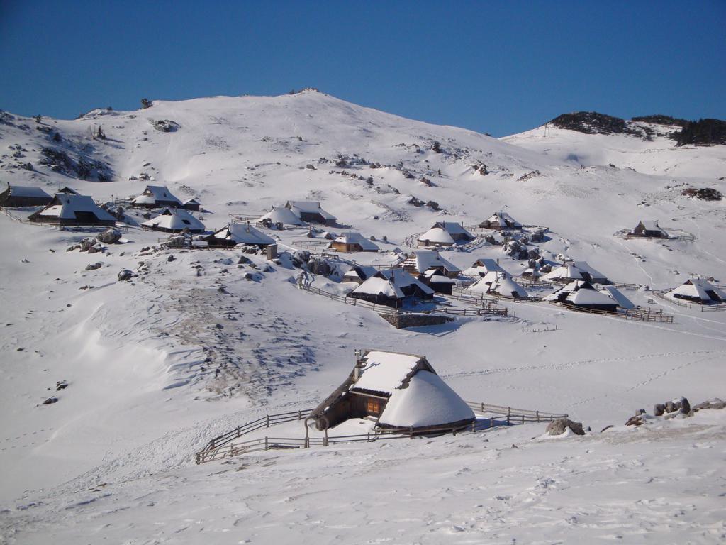 Chalet Tisa Velika Planina Stahovica Kamer foto