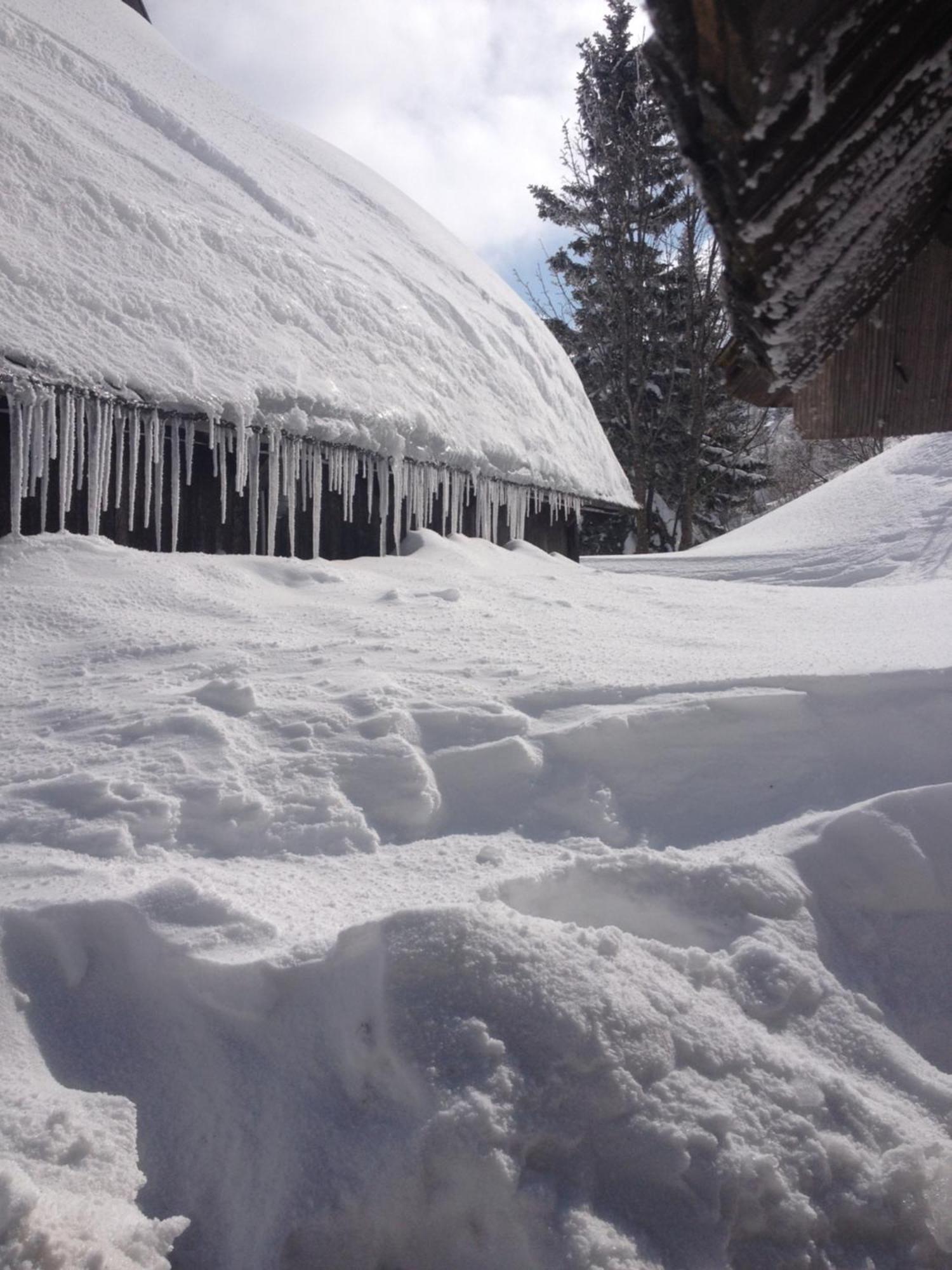 Chalet Tisa Velika Planina Stahovica Buitenkant foto