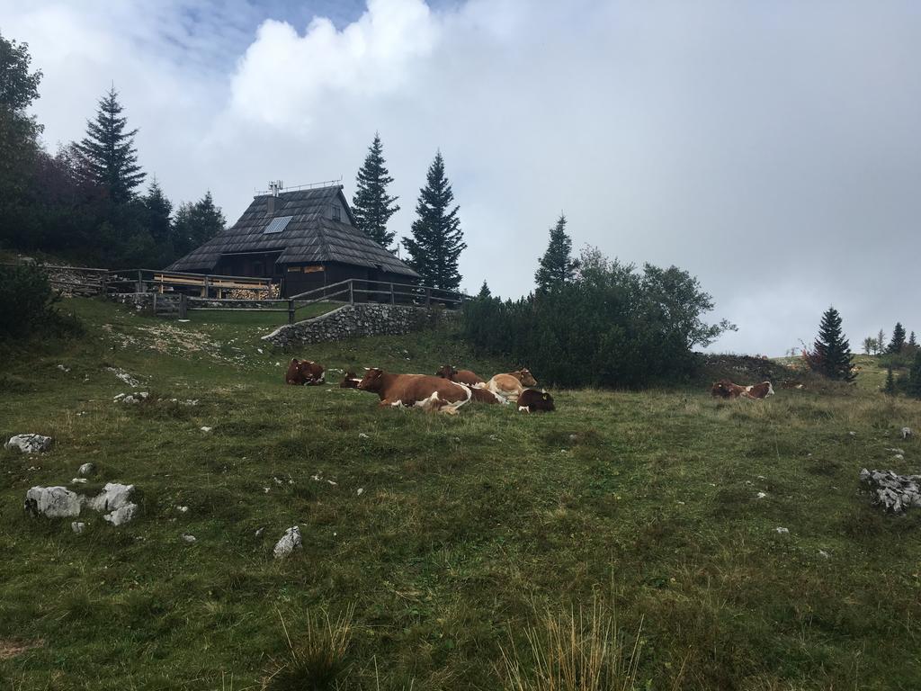 Chalet Tisa Velika Planina Stahovica Buitenkant foto