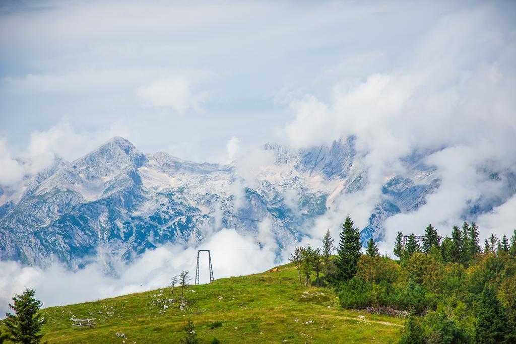 Chalet Tisa Velika Planina Stahovica Buitenkant foto