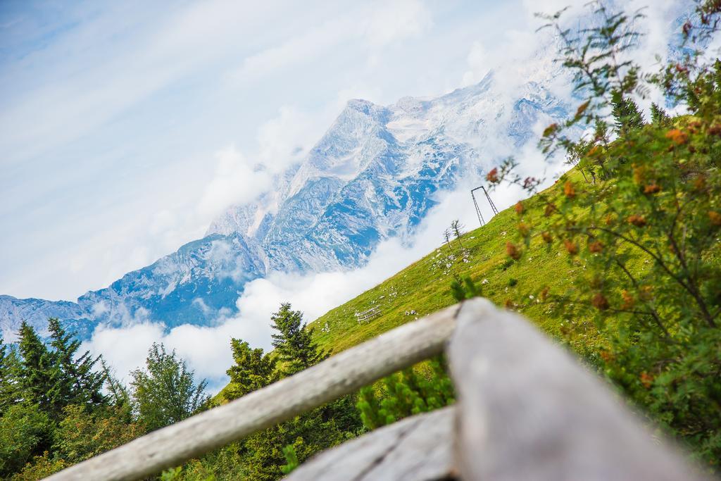 Chalet Tisa Velika Planina Stahovica Buitenkant foto