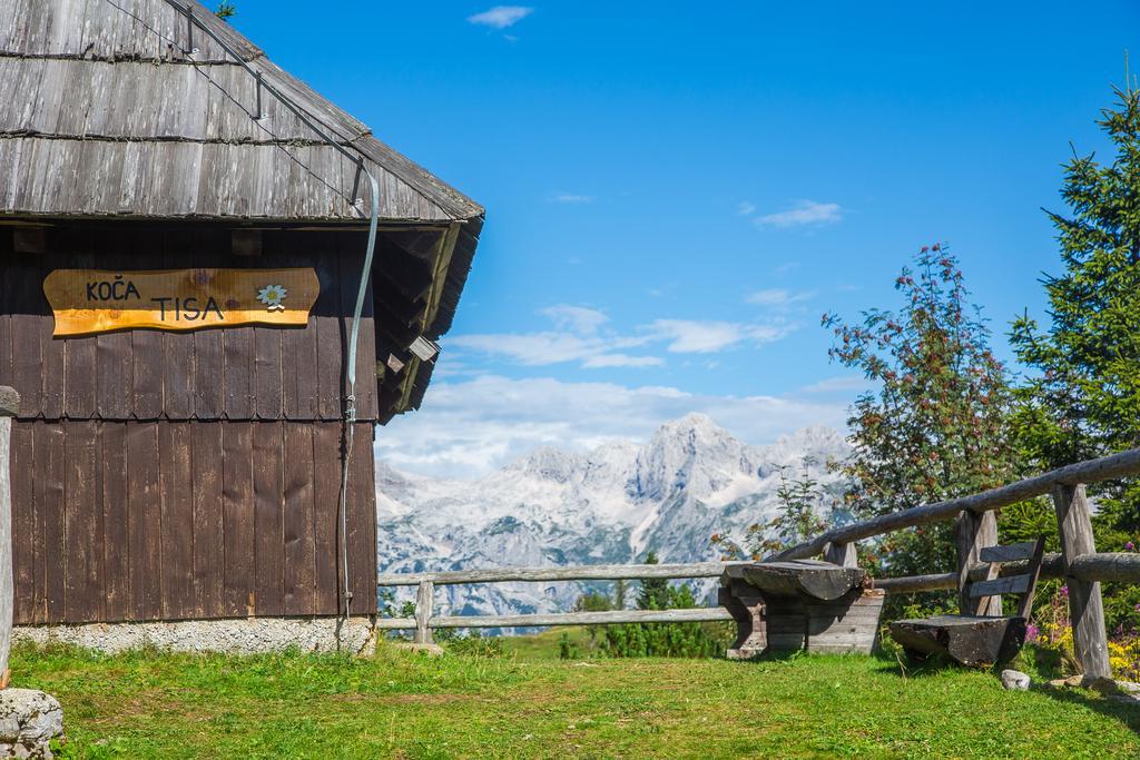 Chalet Tisa Velika Planina Stahovica Buitenkant foto