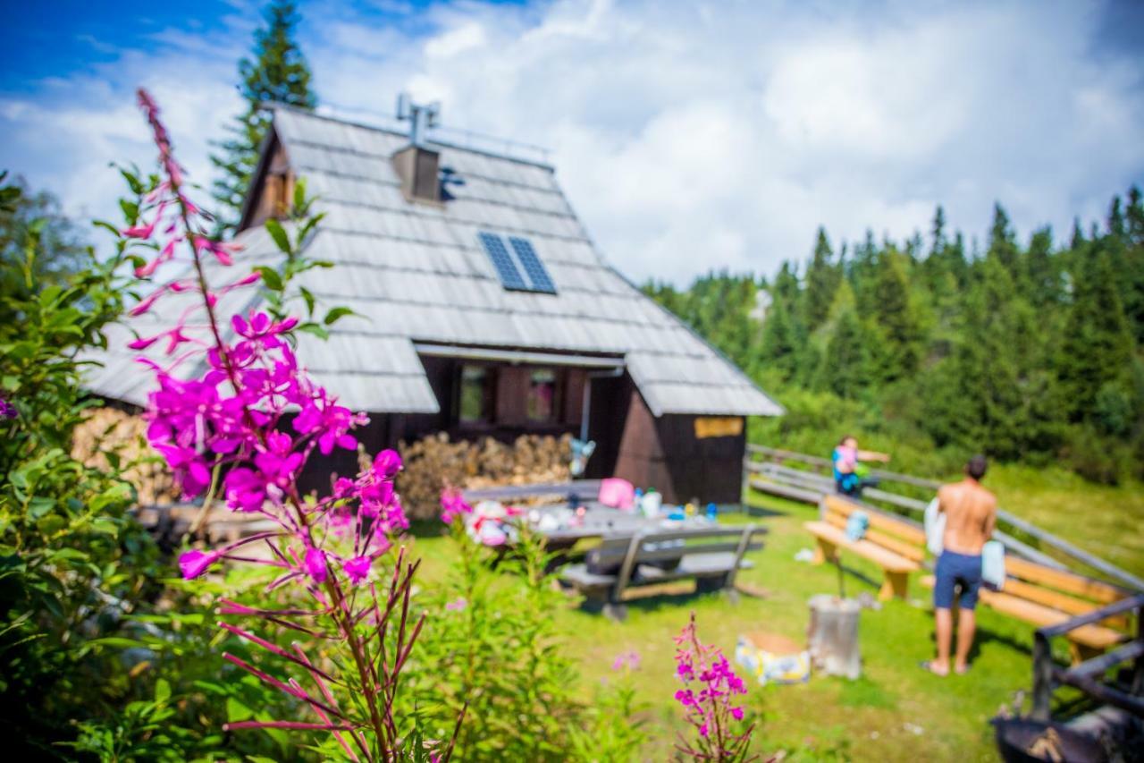 Chalet Tisa Velika Planina Stahovica Buitenkant foto