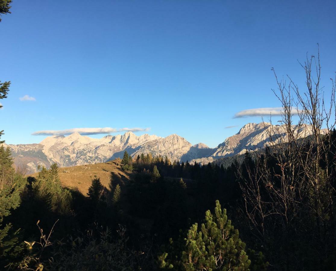Chalet Tisa Velika Planina Stahovica Buitenkant foto